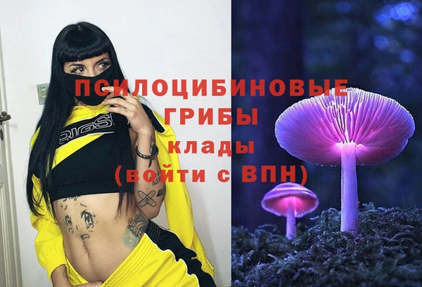 ешки Верхний Тагил