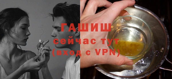 крисы Бородино