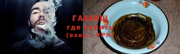 крисы Бородино