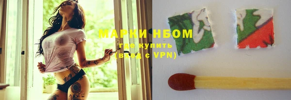 крисы Бородино