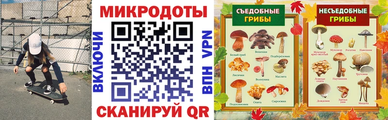 Псилоцибиновые грибы ЛСД  Георгиевск 